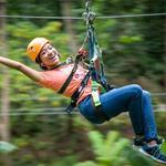 Rainforest Ziplining