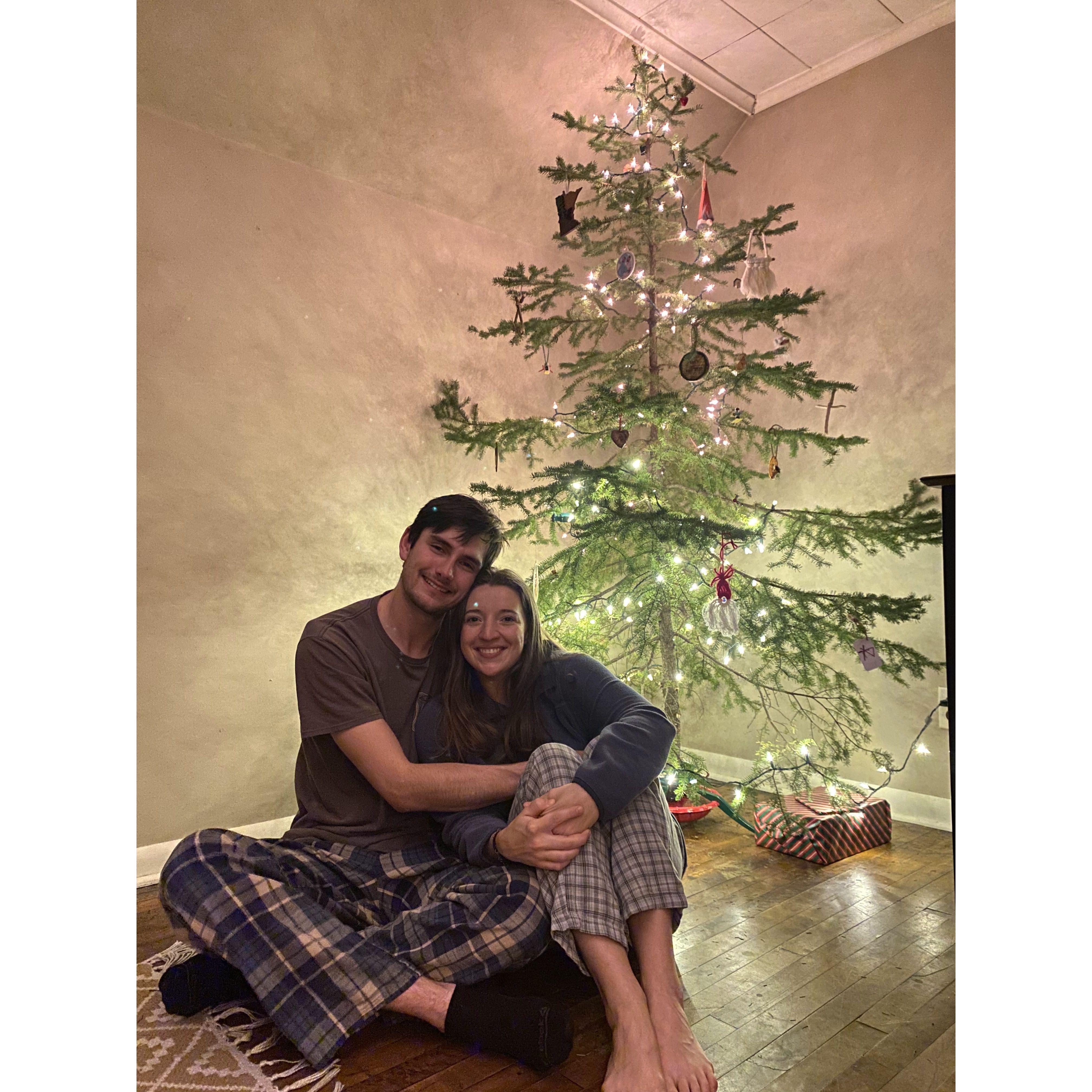 Christmas 2023 - don't ask where we got the tree ;)