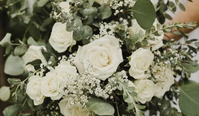 The Wedding Website of Tyson Wildman and Stephanie Roberts