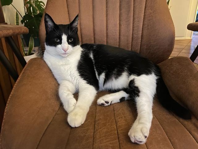 da6e5aba-5426-43c6-ab83-ea2160686203