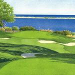 If You Want to Golf like Barry O - Farm Neck Golf Club