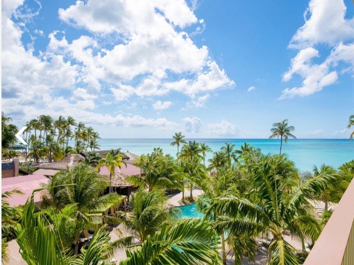 The Wedding Website of Kristi Gresham and Ilya Taleysnik