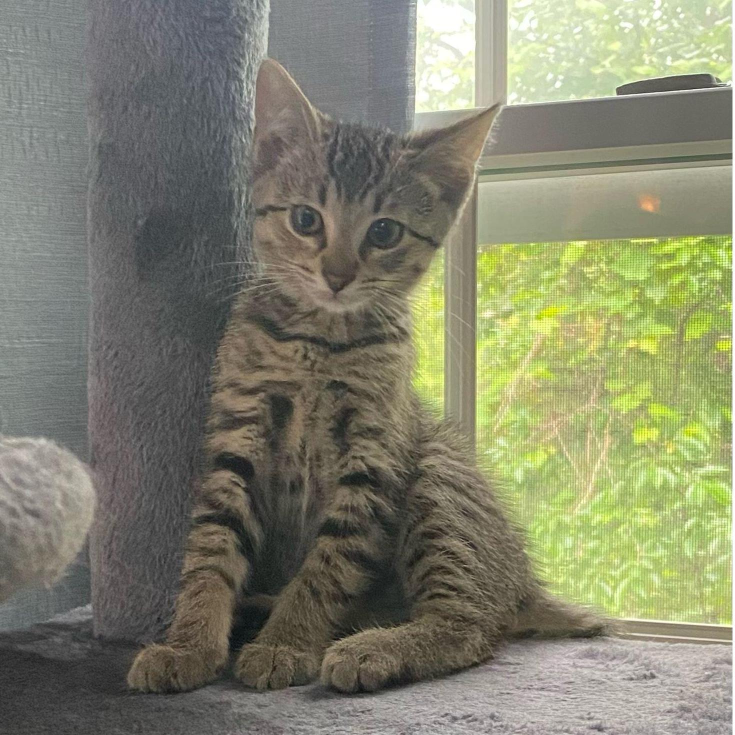 We adopted Baker in June 2025!