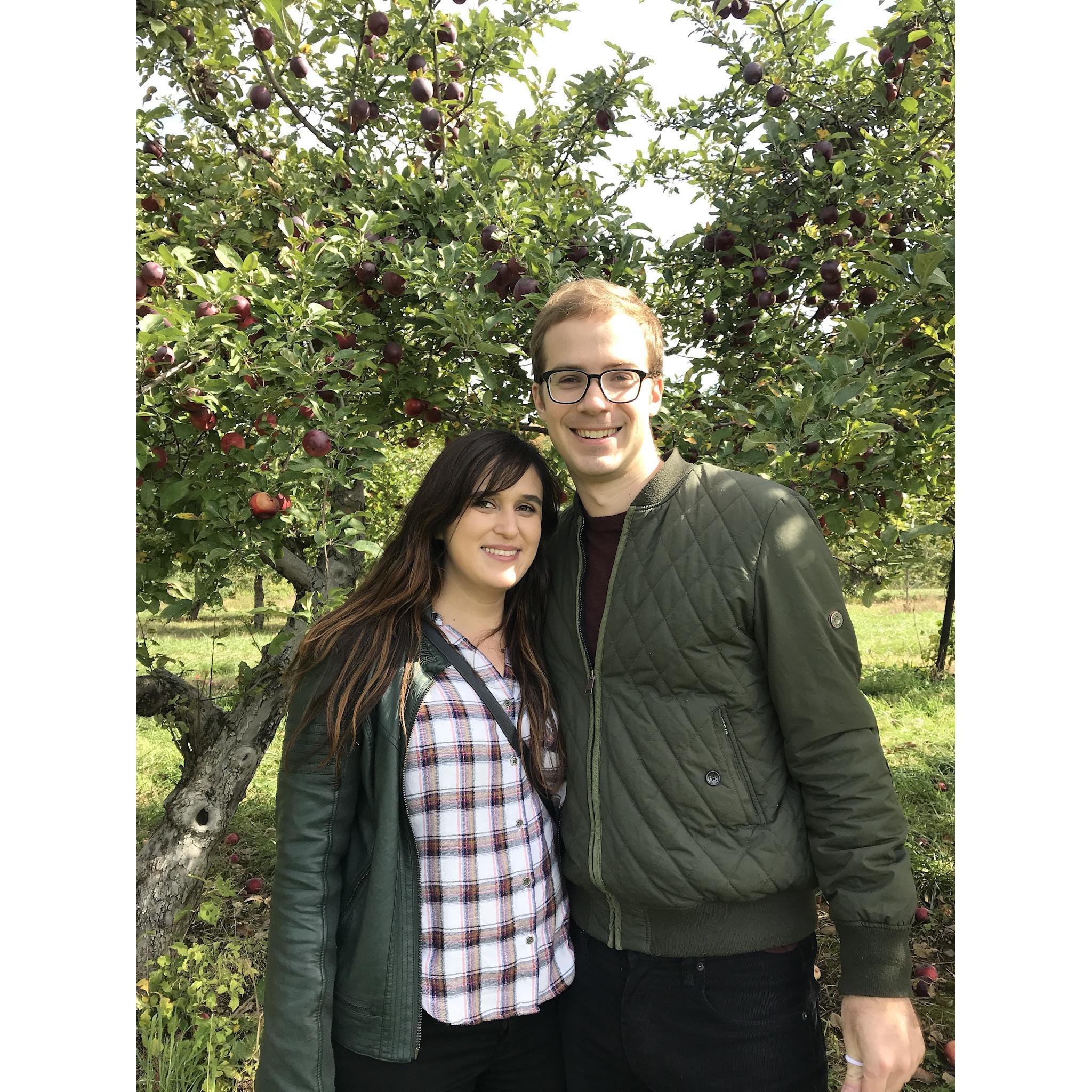 New England apple picking