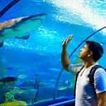 St. Louis Aquarium at Union Station