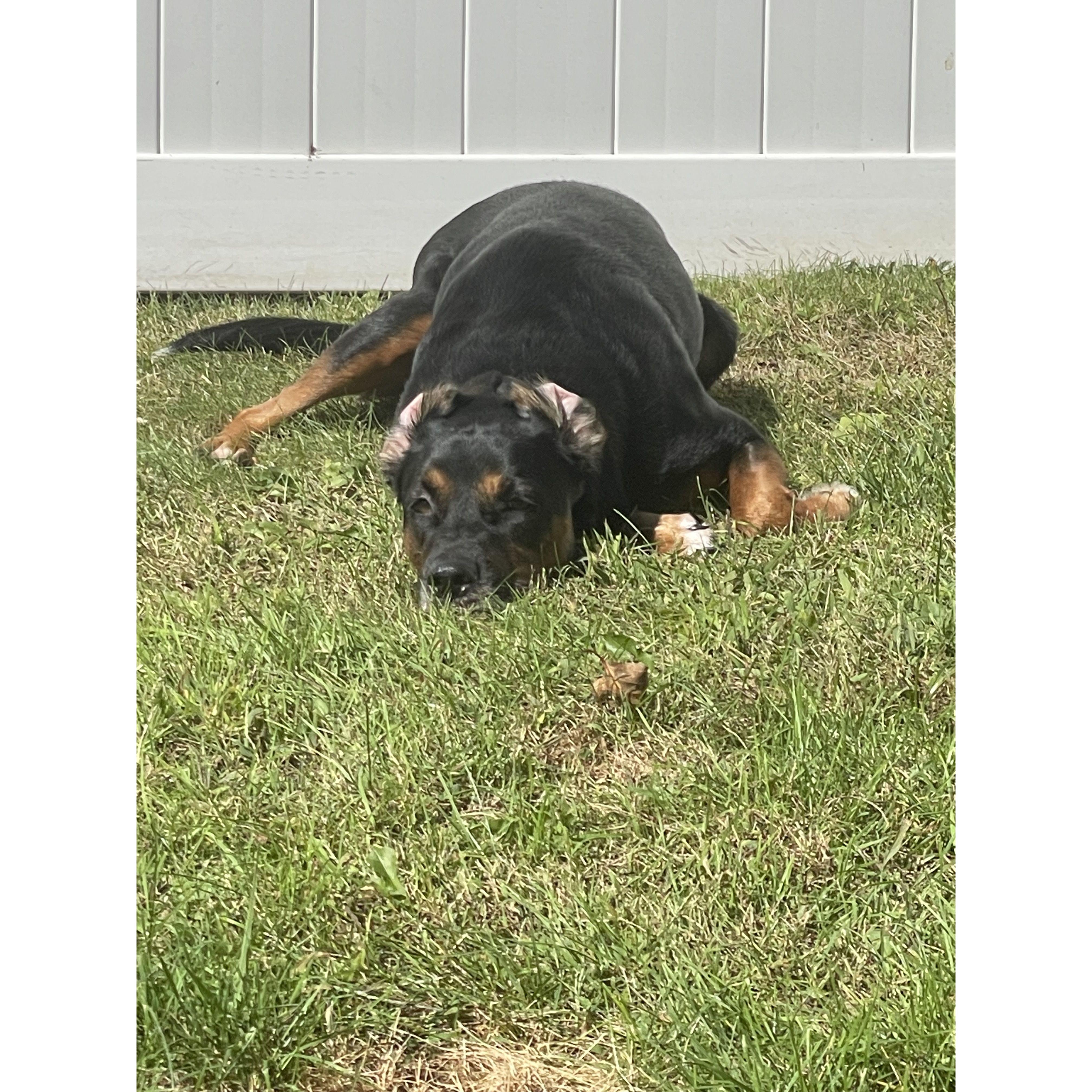 Mom look at my ears!