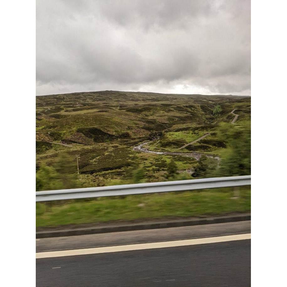 If you can't find us one day, we may have moved to Scotland. You should move there with us!