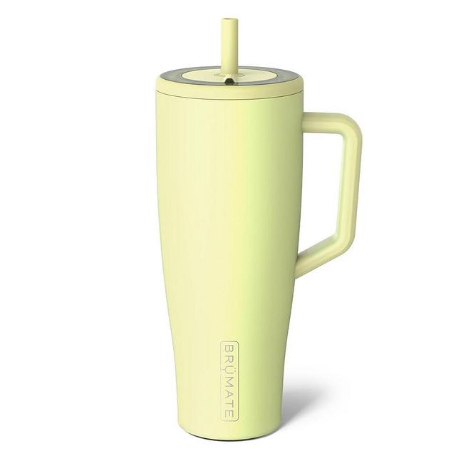 BrüMate Era 40 oz Tumbler with Handle and Straw | 100% Leakproof Insulated Tumbler with Lid and Straw | Made of Stainless Steel | Cup Holder Friendly Base | 40oz (Prickly Pear)