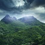 El Yunque Rainforest