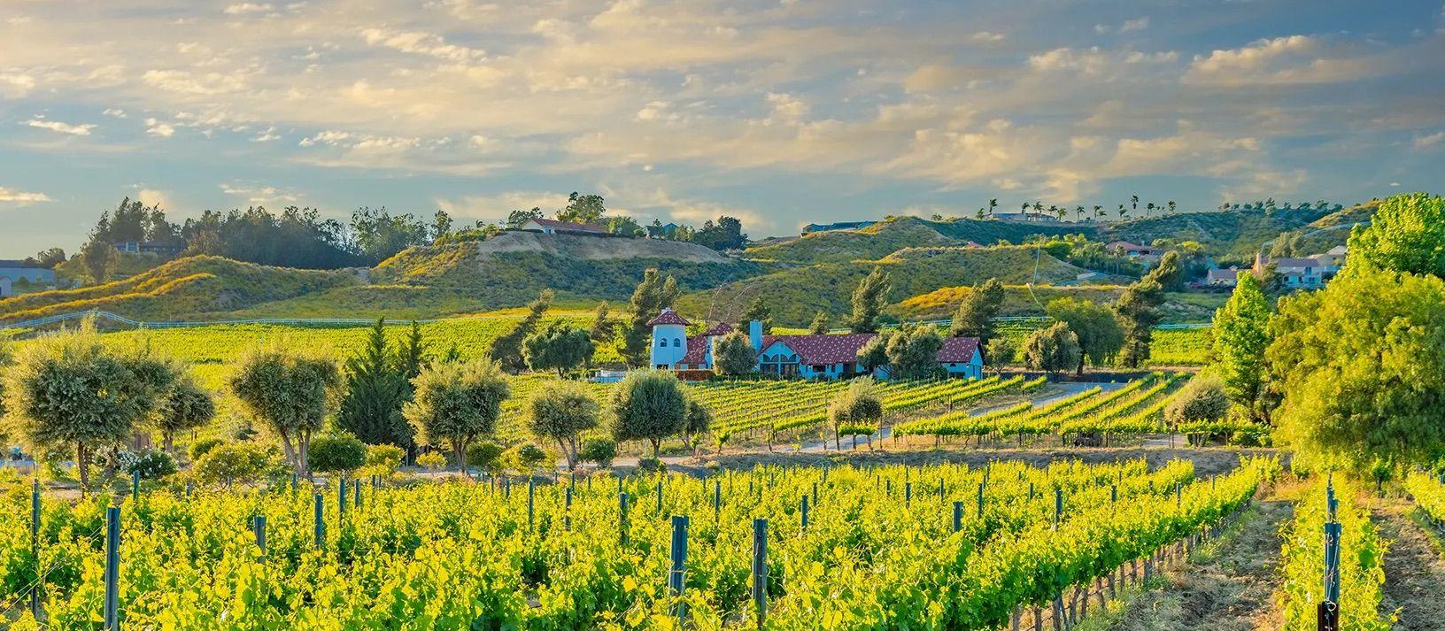 The Wedding Website of Jessica Valladares and Rohit Singh