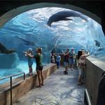 The Saint Louis Zoo
