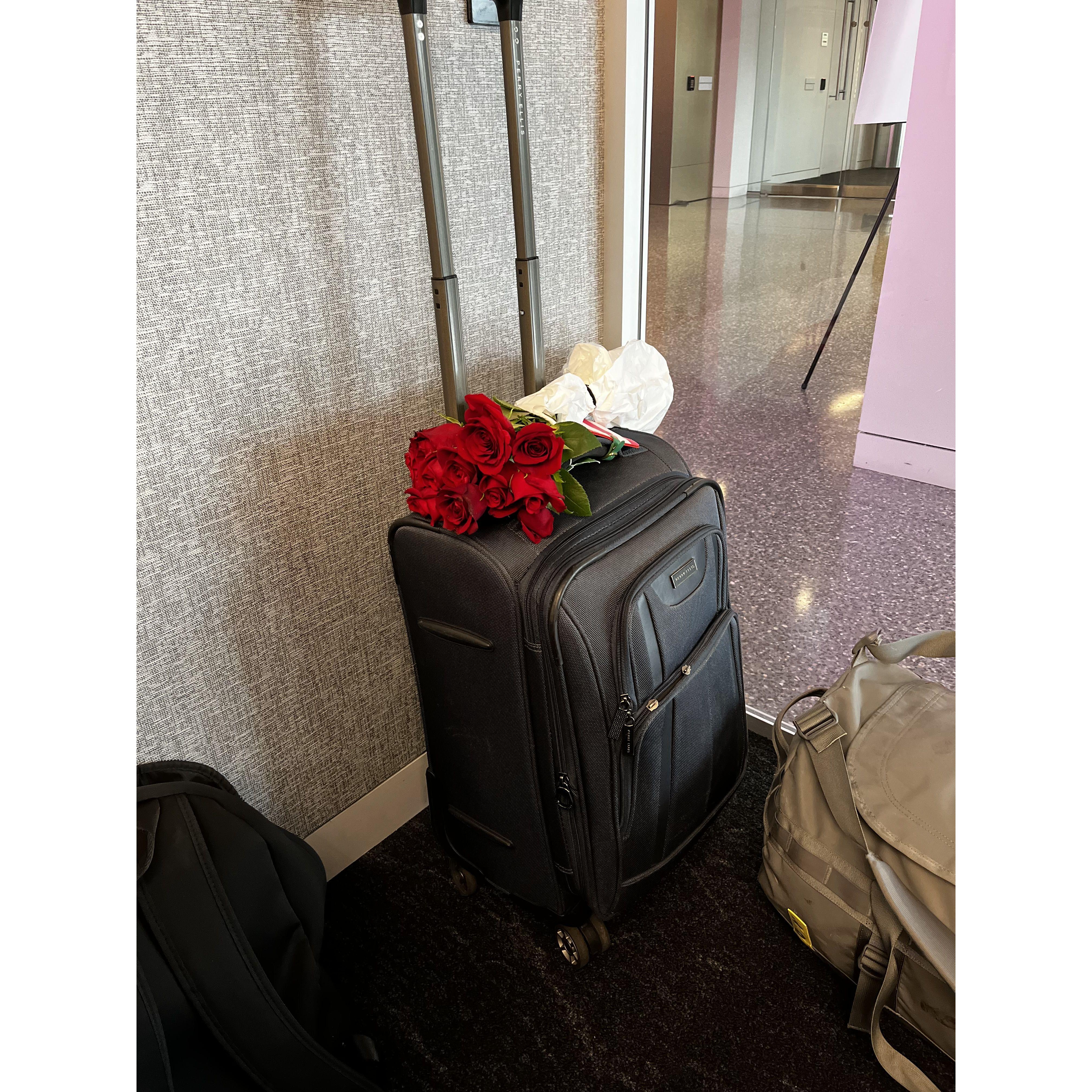 Alec brought Allison these red roses for their first Valentine's Day in DC. The roses soon became Gold Medallion members and flew all the way to LA.