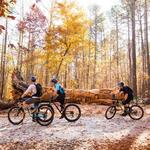 William B. Umstead State Park
