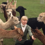 Krystal Acres Alpaca Farm