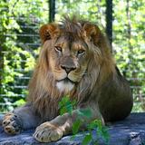 Blank Park Zoo