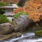 Anderson Japanese Gardens