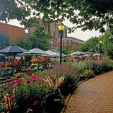 Fayetteville Farmer's Market