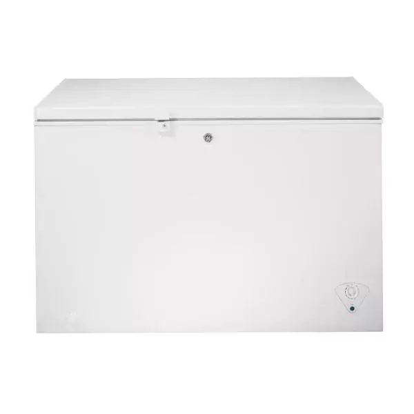 Garage Ready 10.6 cu. ft. Chest Freezer in White, ENERGY STAR
