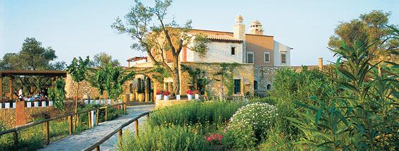 The Wedding Website of Eleni Kanalos and Stephen Davies