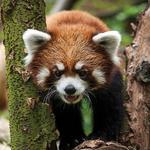Pittsburgh Zoo & Aquarium