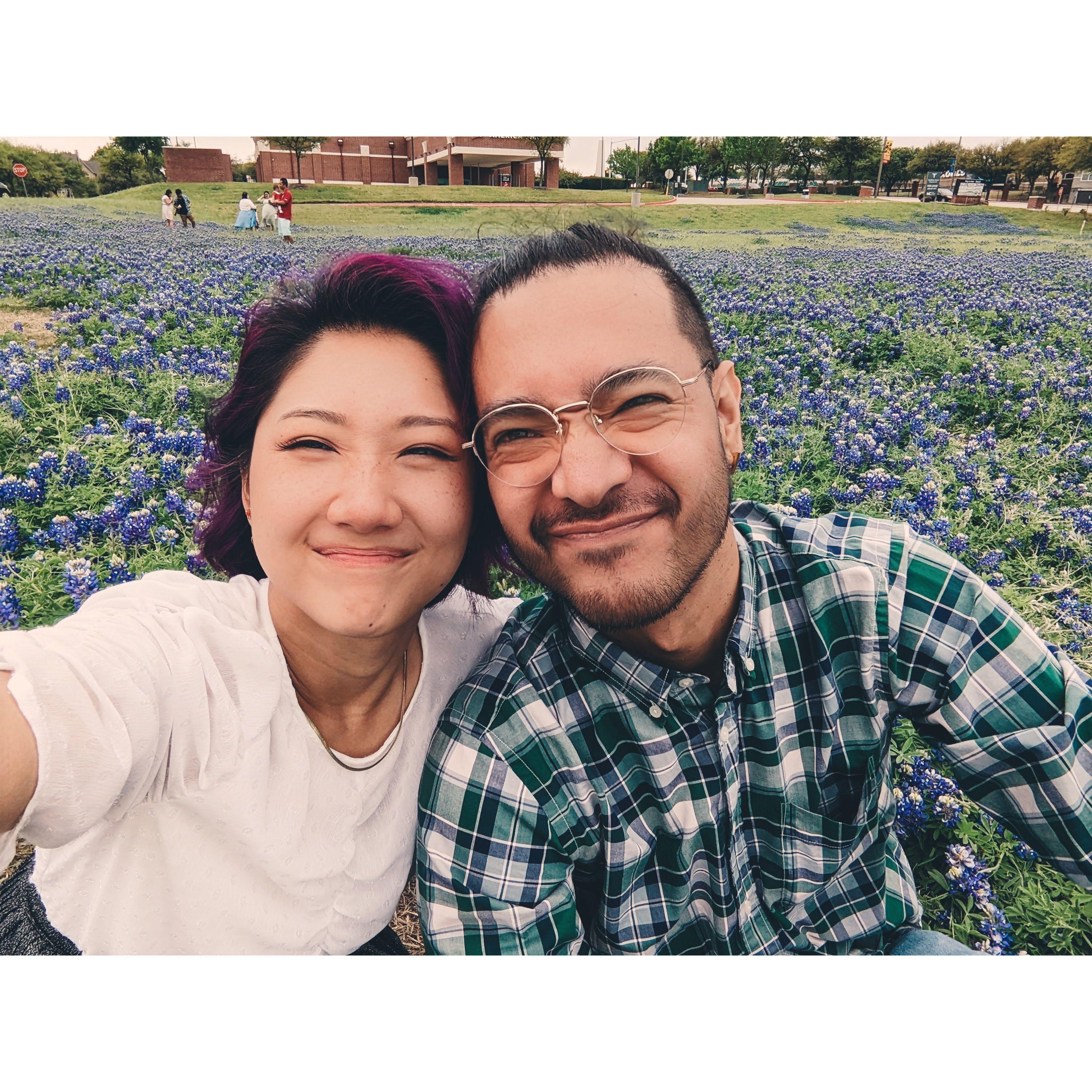 Bluebonnet field near Matt's old work.