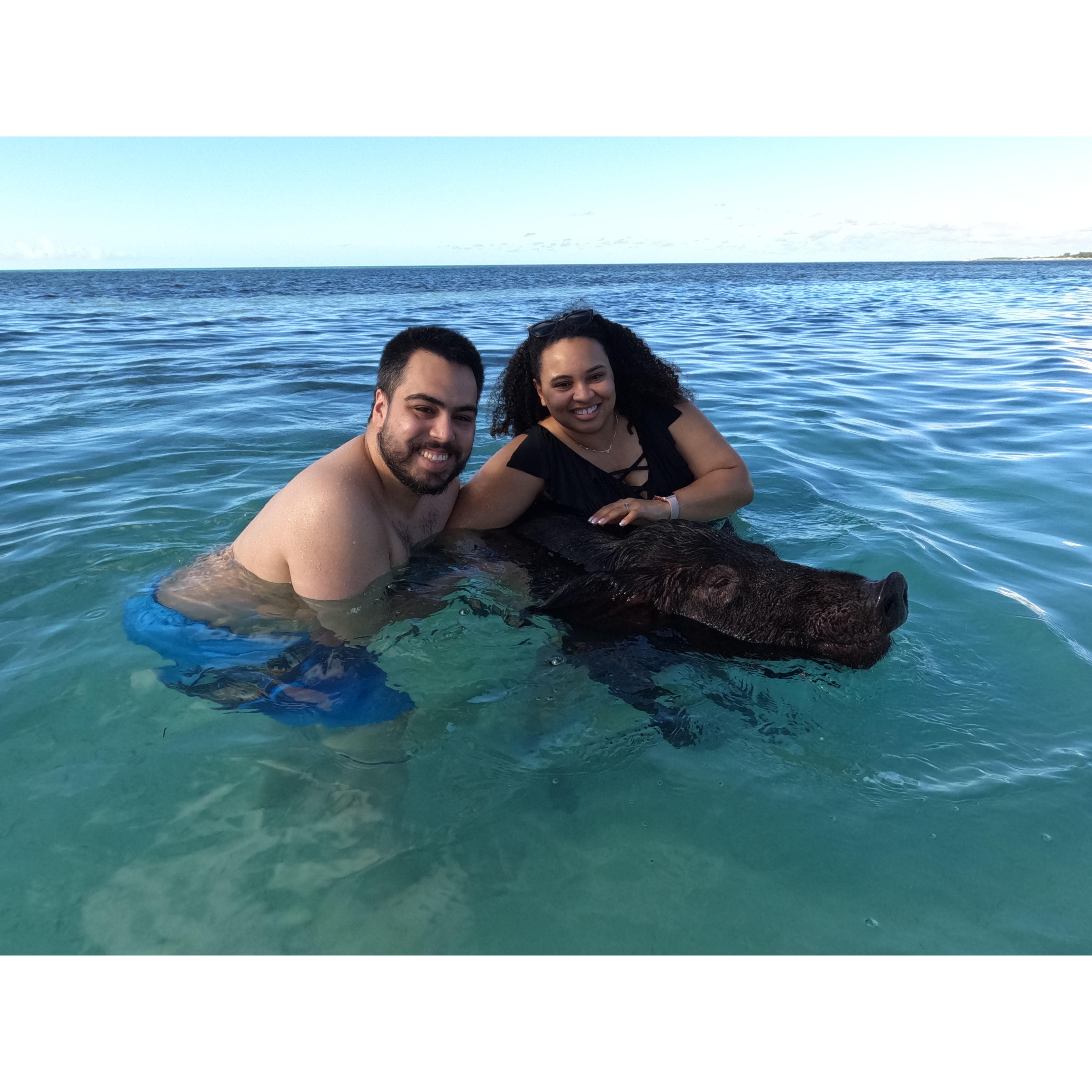 Swimming with the pigs!!
