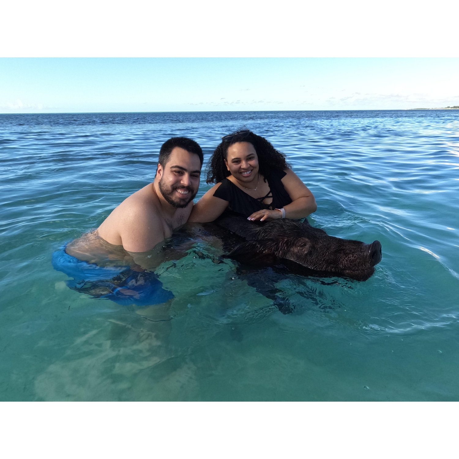 Swimming with the pigs!!