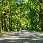 Clarksville Greenway