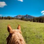 Horseback Riding