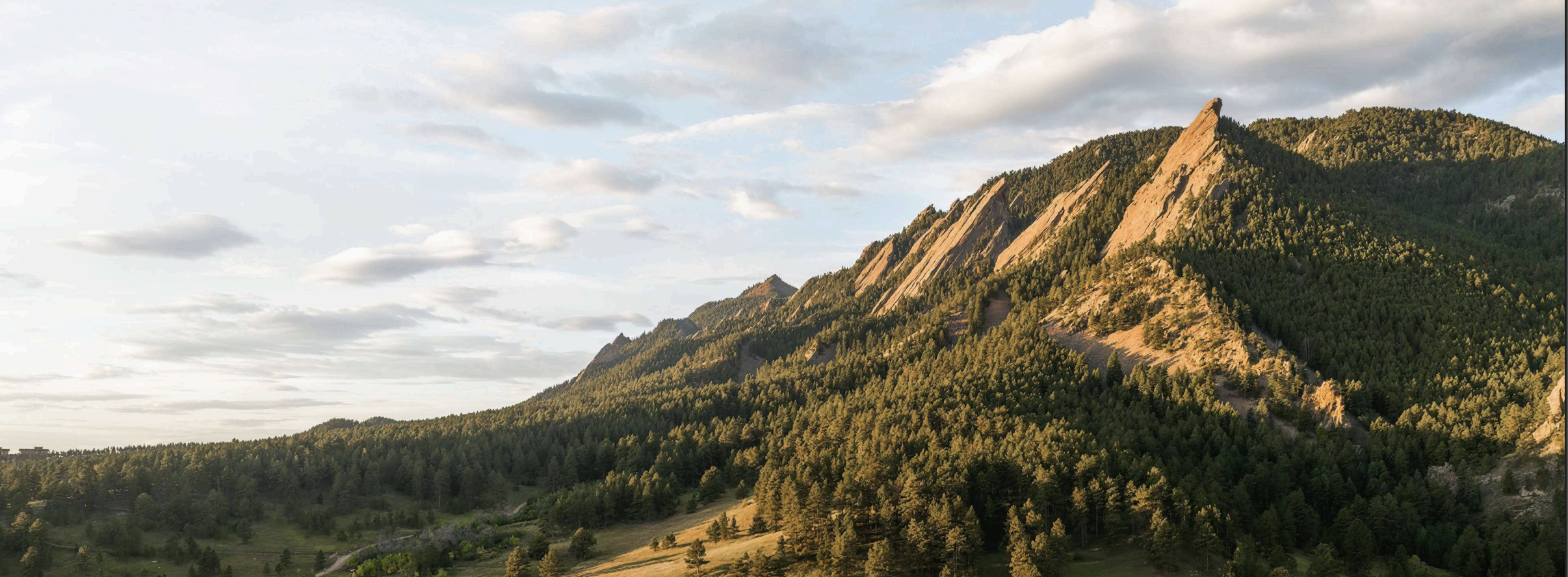 The Wedding Website of Liesel Schiffhauer and Andrew Kurth