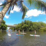 Paddle the Haleiwa River