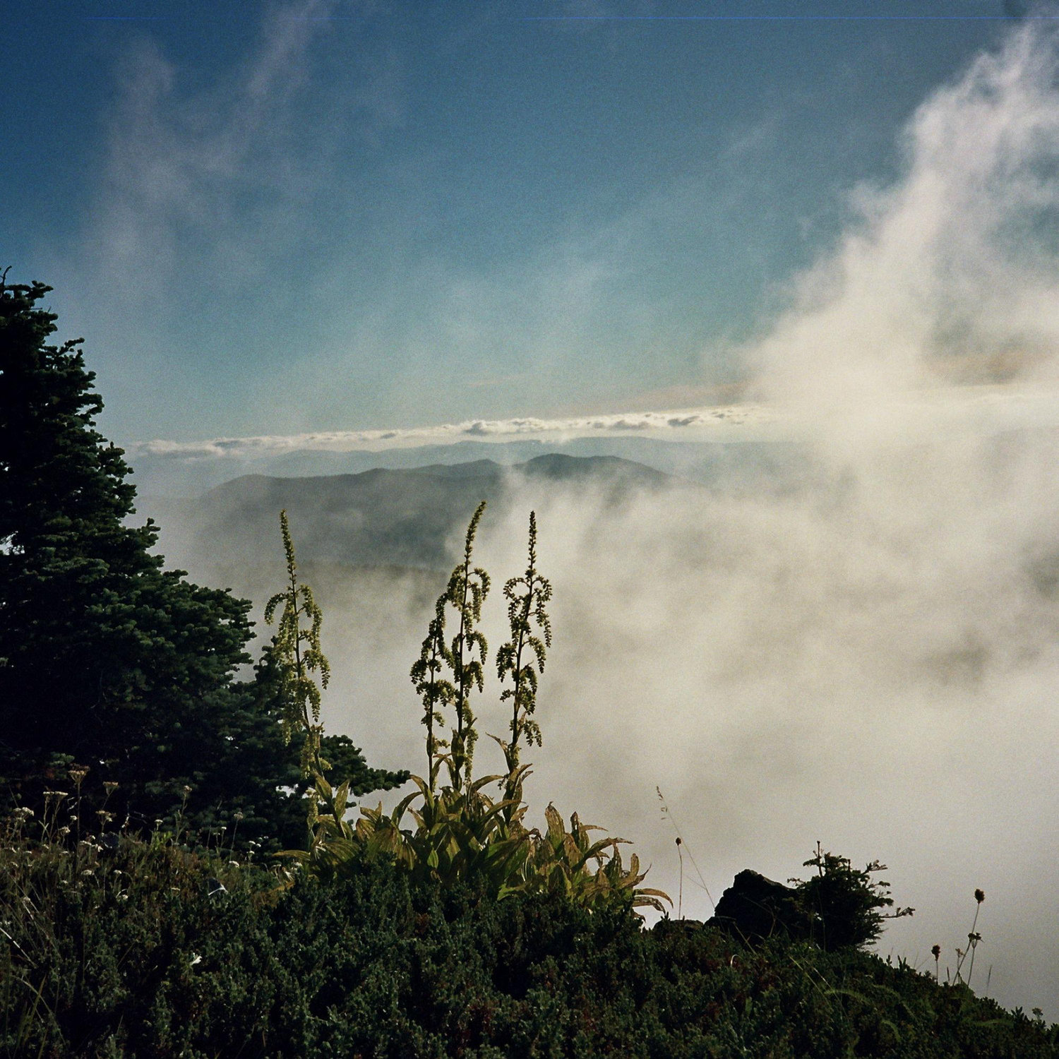 McNeil Point, where Tre asked Hayati to marry him
