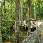 First Landing State Park