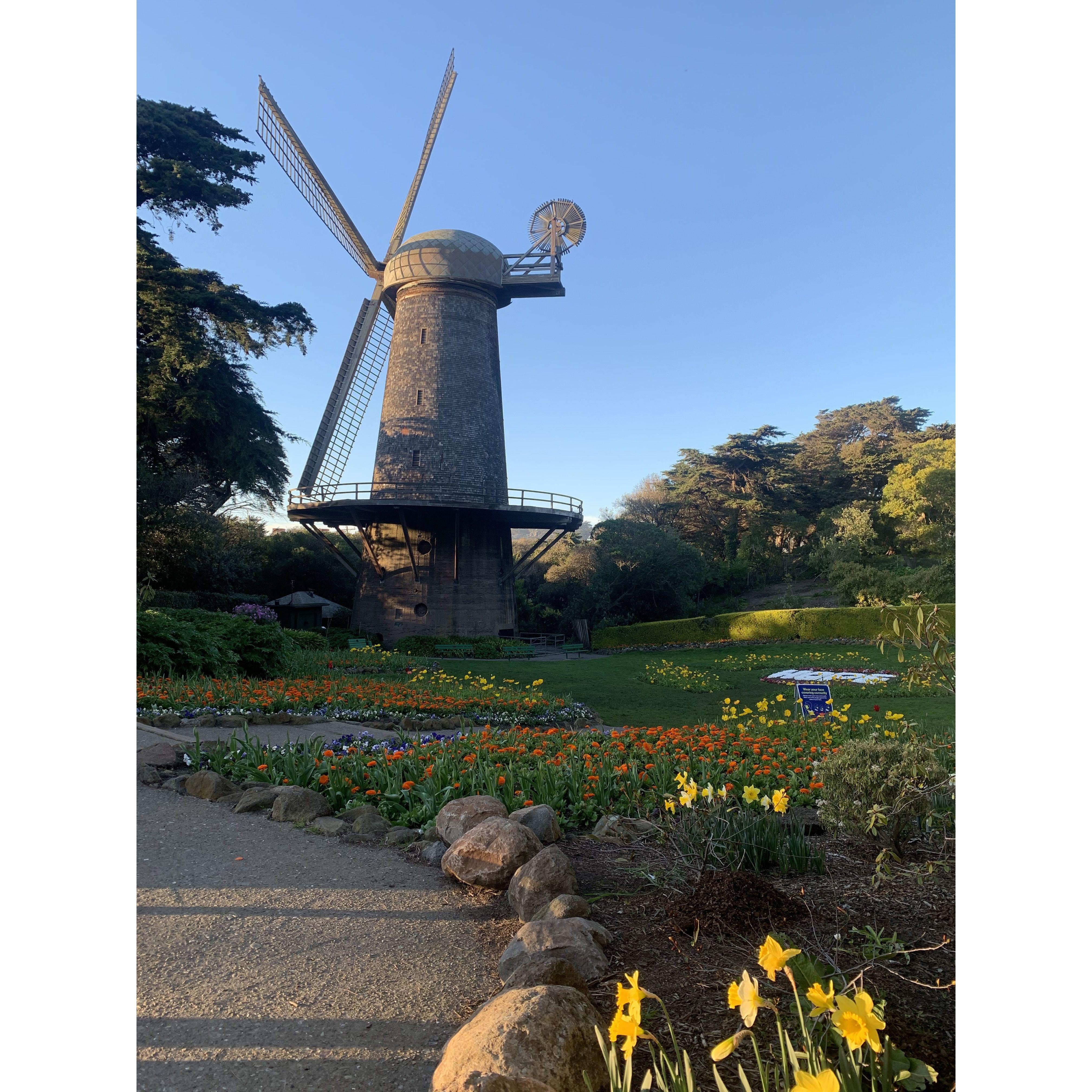 Queen Wilhemina Tulip Garden