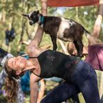 Unique Activities to do in Vail