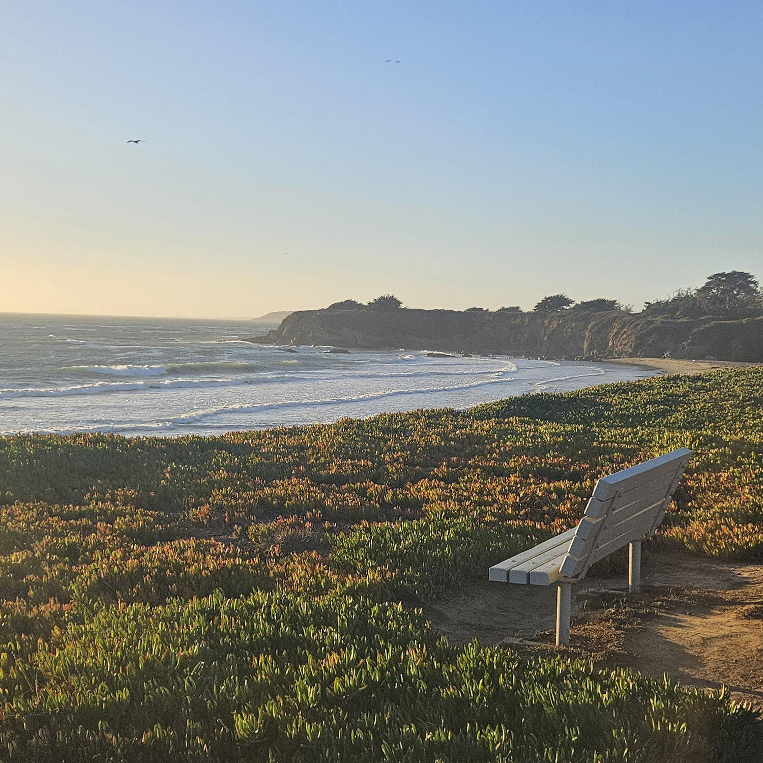 10/12 San Simeon. John and I walked down to the beach.