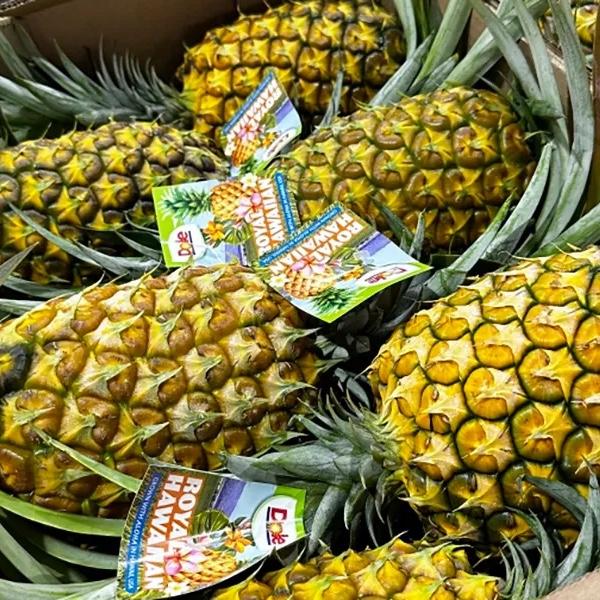 Honeymoon Dole Plantation Tour