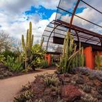 Desert Botanical Garden