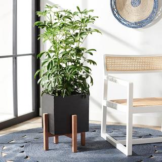 Borsla Planter