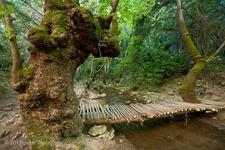 Explore The Waterfalls in Potami