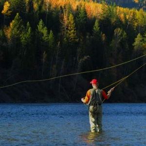 Honeymoon half day fly fishing