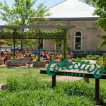 Colectivo Coffee Lakefront