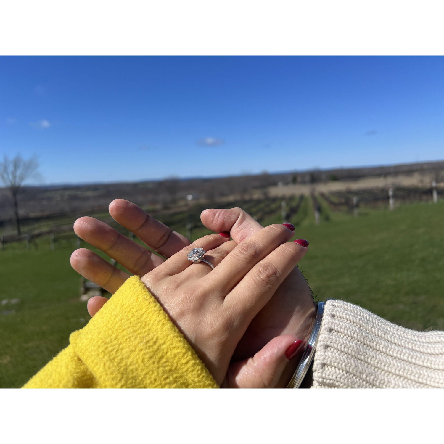 The Proposal.