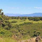 Santa Rosa Plateau Ecological Reserve
