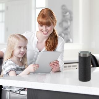 Alexa Voice Activated Wireless Multi-Room Speaker