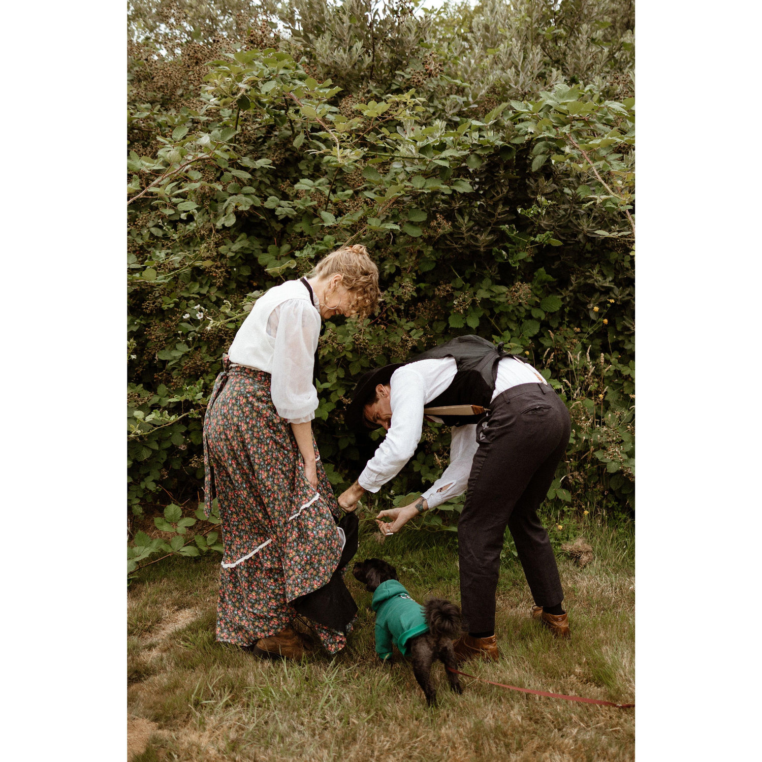Doing some unentangling from the blackberries (before capturing our "entanglement")