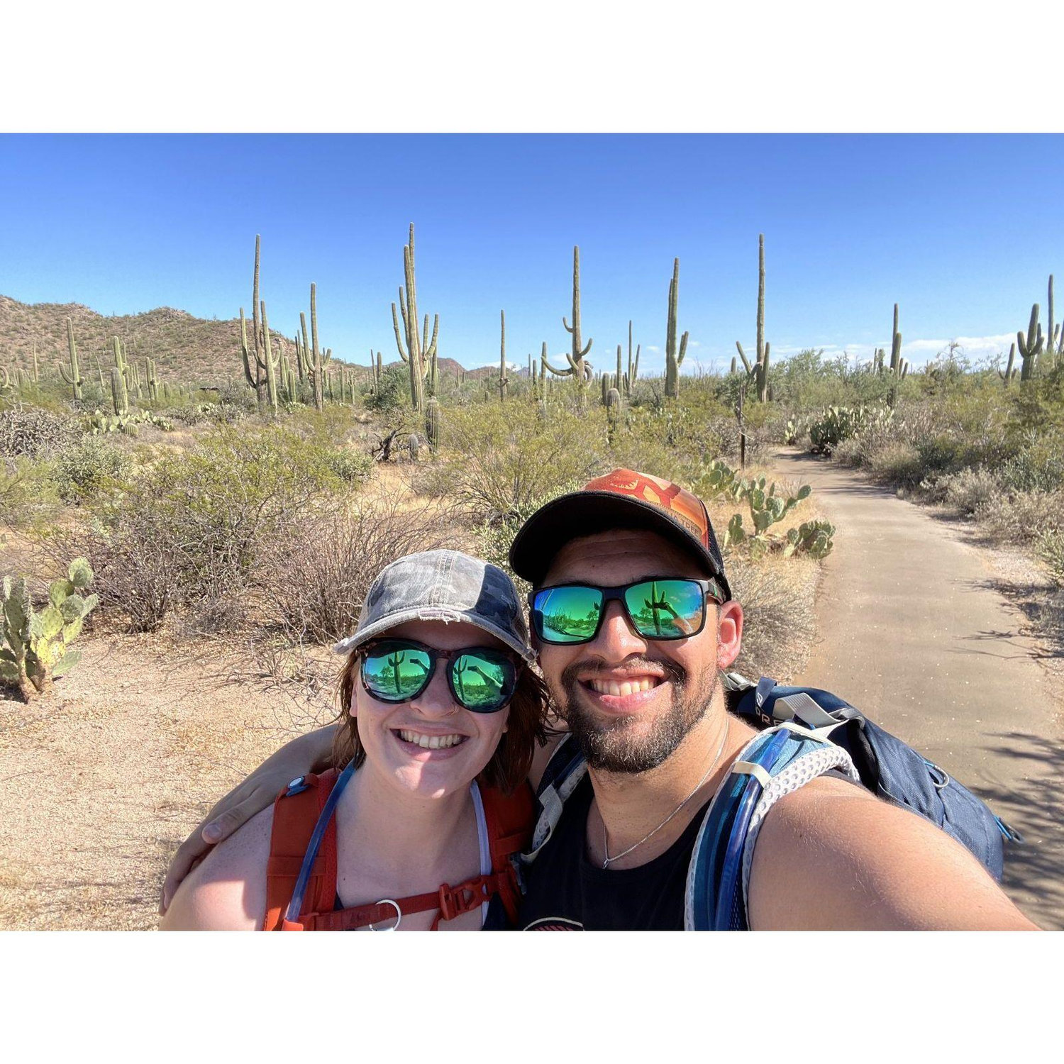 Saguaro. Rough Night, beautiful day.
