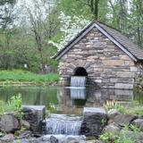Bowman's Hill Wildflower Preserve
