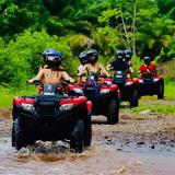 ATV Off Road Rainforest & Waterfalls Tour