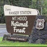 Zigzag Ranger Station